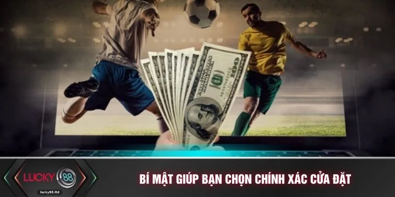 Bí mật giúp bạn chọn chính xác cửa đặt