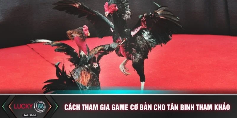 Cách tham gia game cơ bản cho tân binh tham khảo