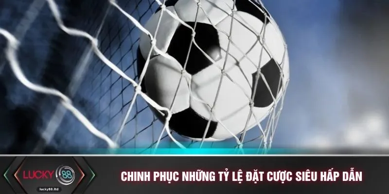 Chinh phục những tỷ lệ đặt cược siêu hấp dẫn
