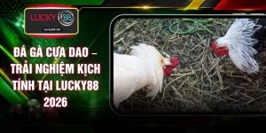 Đá Gà Cựa Dao – Trải Nghiệm Kịch Tính Tại LUCKY88 2026