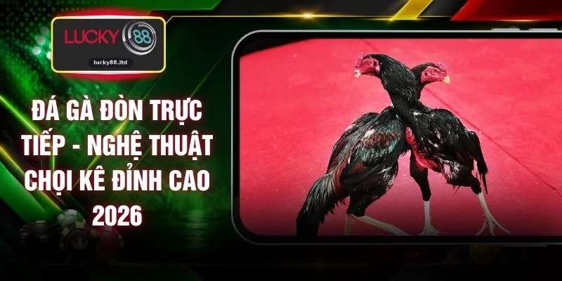 Đá Gà Đòn Trực Tiếp - Nghệ Thuật Chọi Kê Đỉnh Cao 2026