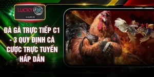 Đá Gà Trực Tiếp C1 - 3 Quy Định Cá Cược Trực Tuyến Hấp Dẫn