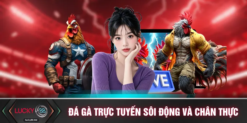 Đá gà trực tuyến sôi động và chân thực