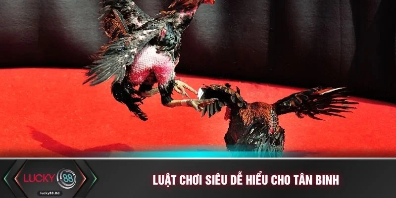 Luật chơi siêu dễ hiểu cho tân binh