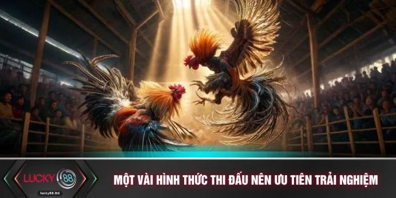 Một vài hình thức thi đấu nên ưu tiên trải nghiệm