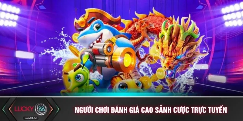 Người chơi đánh giá cao sảnh cược trực tuyến