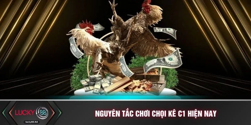 Nguyên tắc chơi chọi kê C1 hiện nay