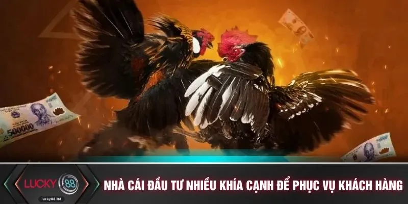Nhà cái đầu tư nhiều khía cạnh để phục vụ khách hàng