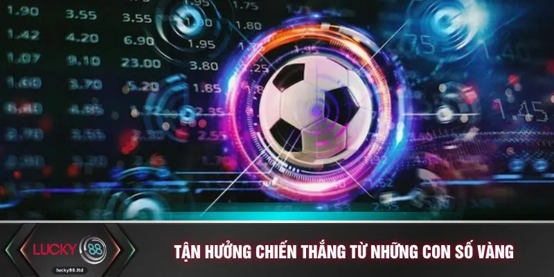 Tận hưởng chiến thắng từ những con số vàng