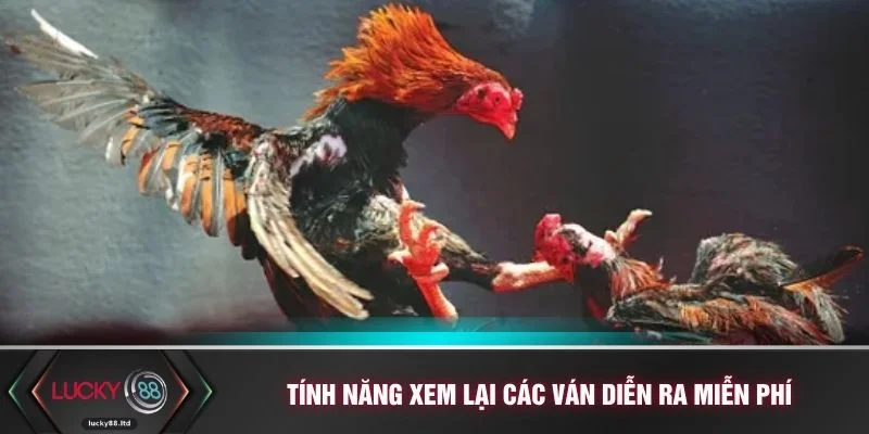 Tính năng xem lại các ván diễn ra miễn phí