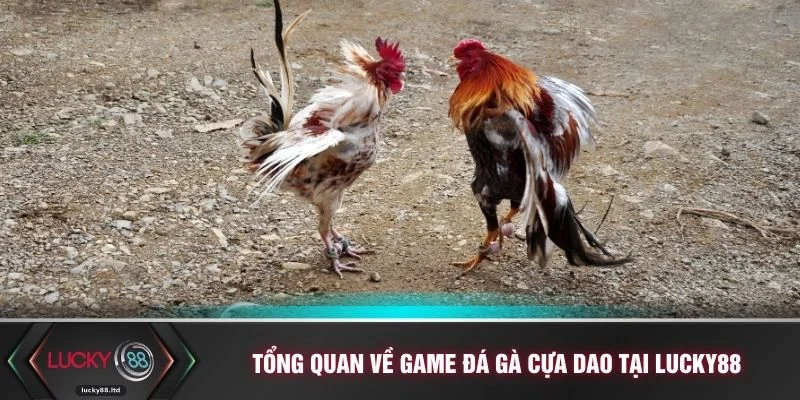 Tổng quan về game đá gà cựa dao tại LUCKY88